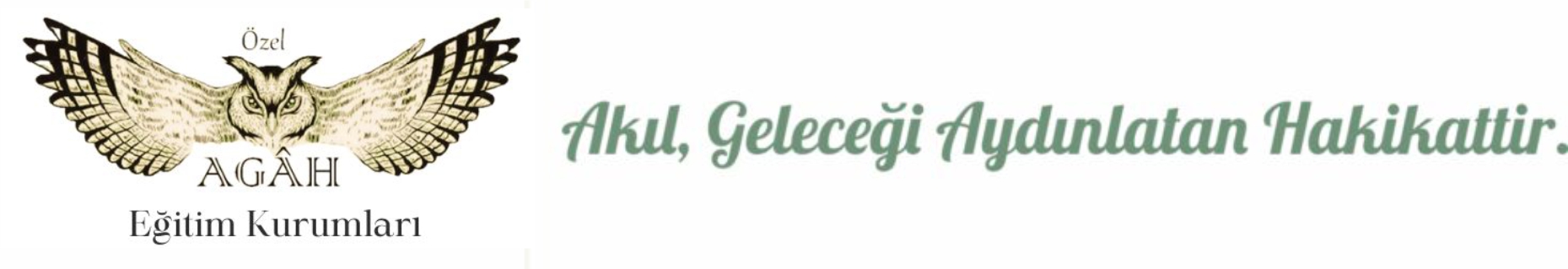 mobile-logo